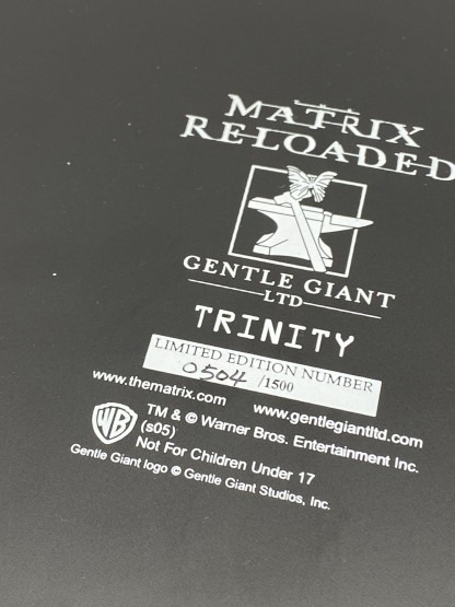 Matrix TRINITY with Ducati resin-statue 1:6 scale ltd 1500 Gentle Giant 2003 – Image 17