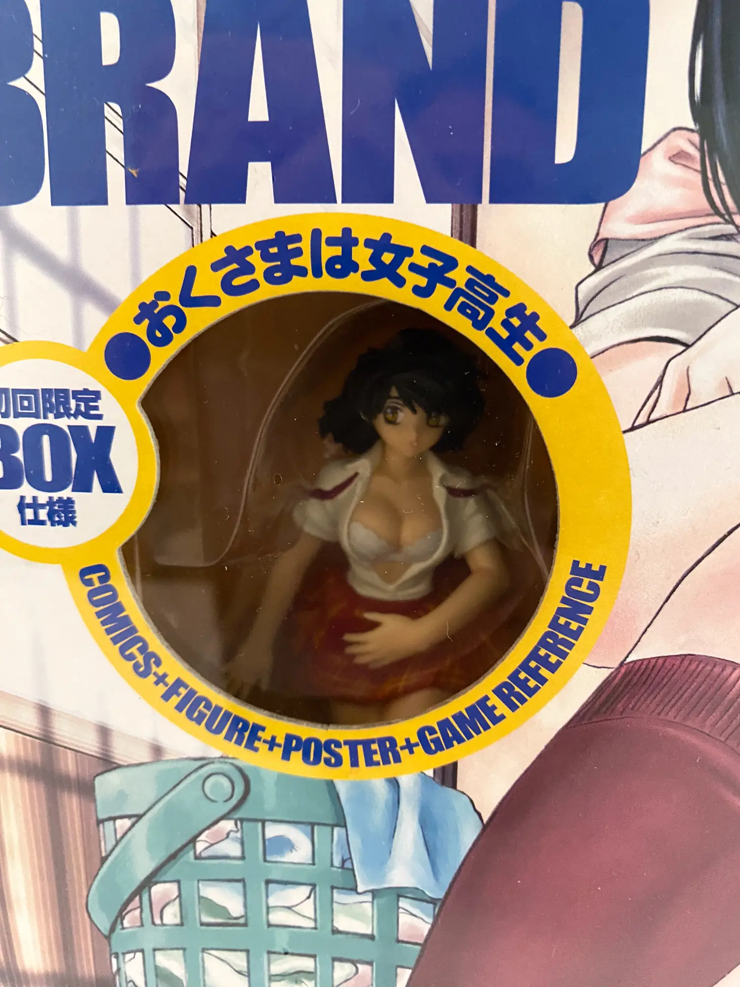 Hiyoko Brand Kobayashi Hiyoko Favorite Edition Box SEALED NEW – Image 5