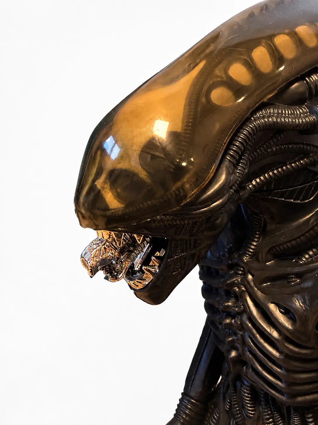 ALIEN Big Chap Kenner 1979 MIB – Image 5
